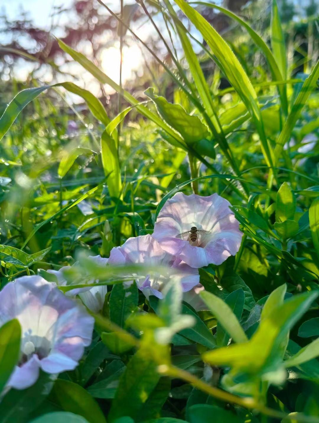 很喜欢秋天的一点，是它让时间忽然变得可以感知。风凉下来，光线变软，世界从夏天的饱
