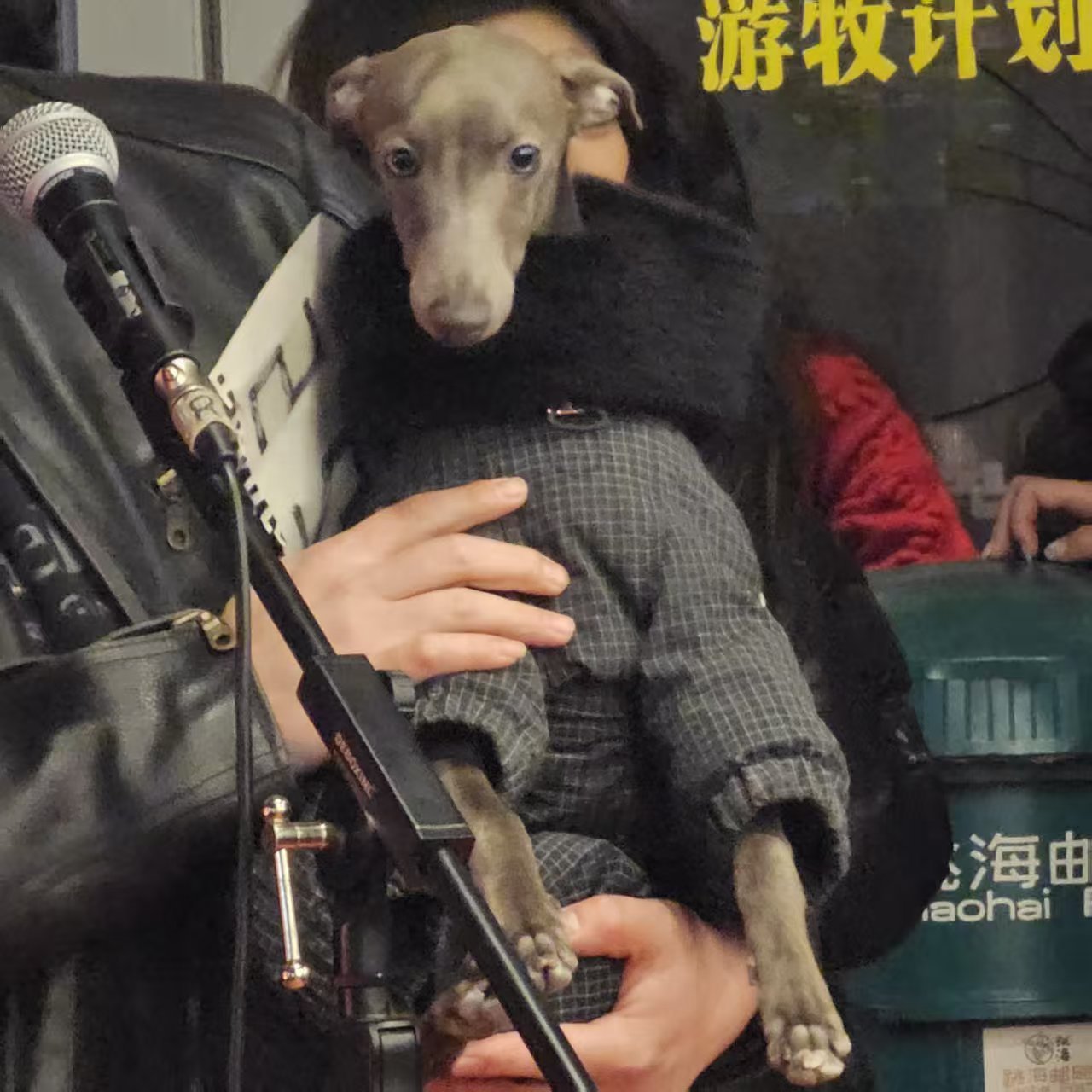 我这怎么赢。。。 