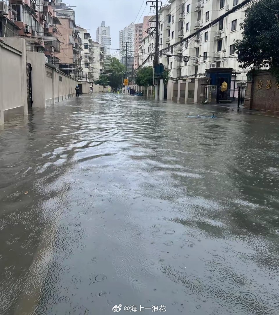 白海豚 上班台风白海豚登陆，打工人上班路成冒险。感觉这天气出门有点生死之交，老板