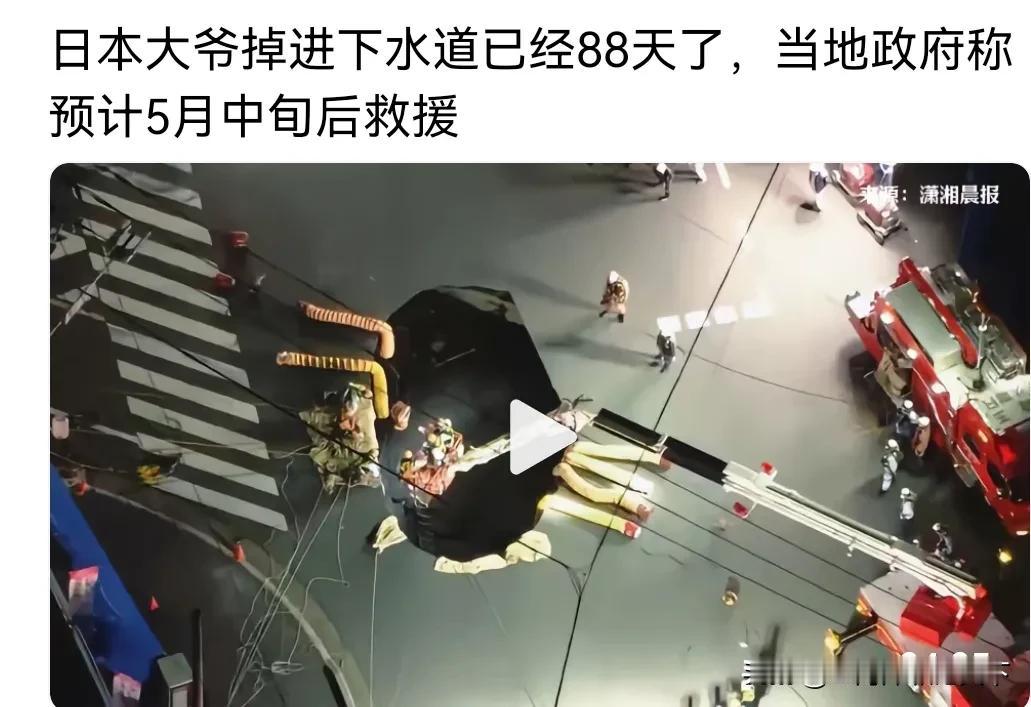 终于知道为什么《仁者神龟》出在日本了。日本人的高素质，日本政府的高素质，确实厉害