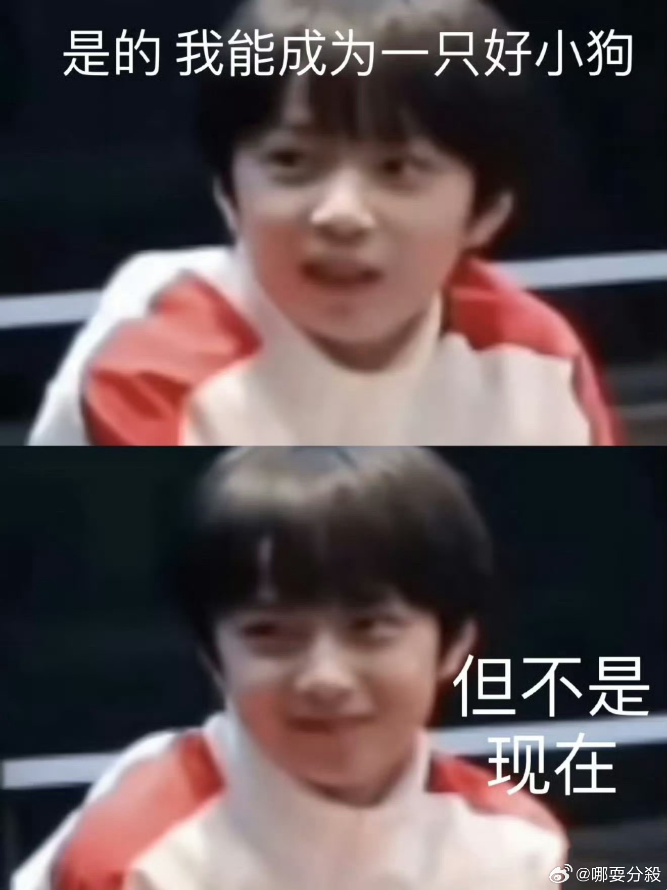 ：（装作读弹幕）看看耳钉？来吧（展示中）（展示完毕）其实没有这条弹幕啊哈哈这个小