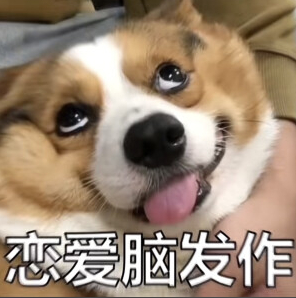英语一卷 Emily你个恋爱脑 看到这个只想说一句这个圣诞节是非过不可吗？
