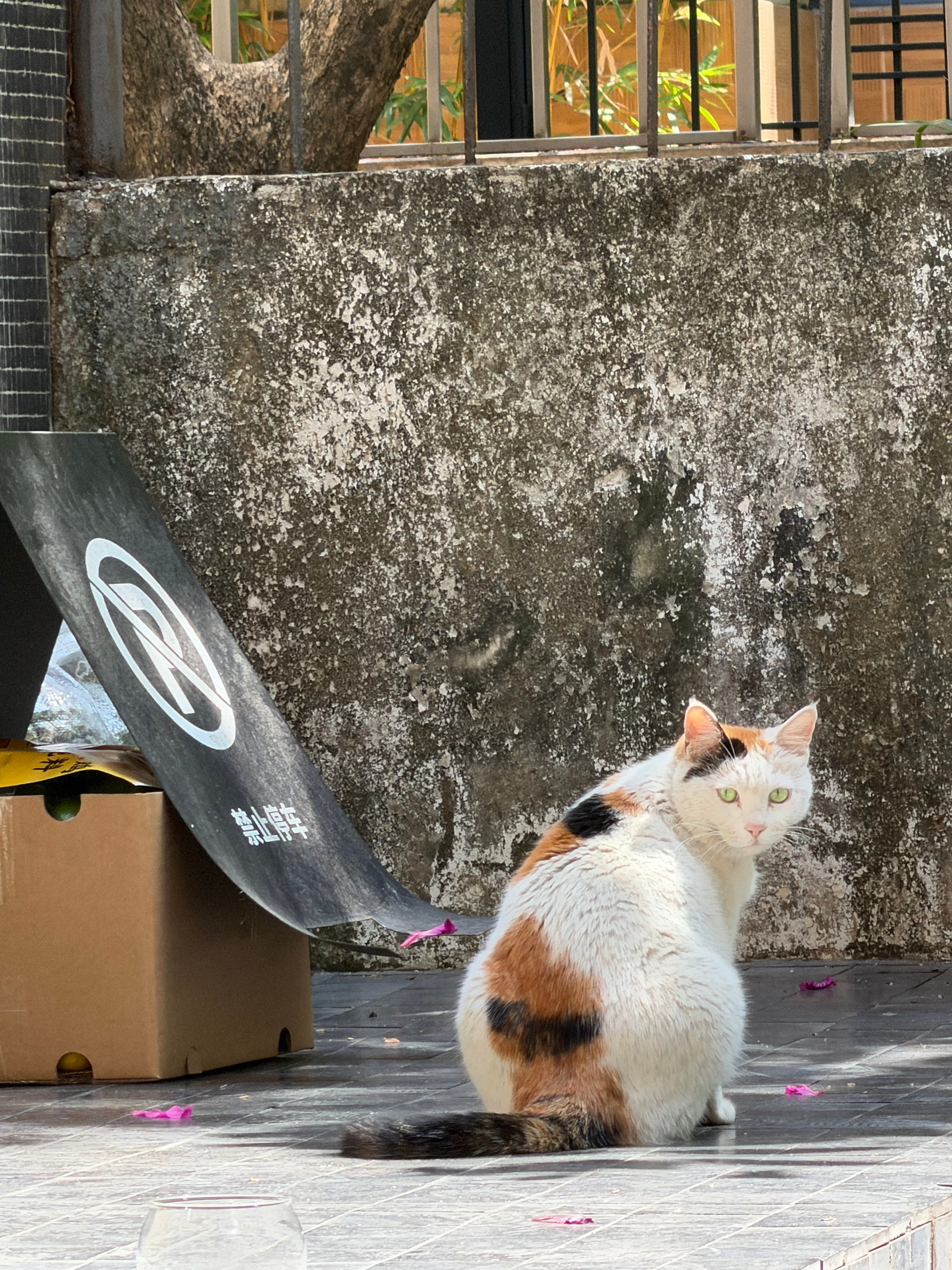 今日咁舒服，休息翻一日先啦 广州