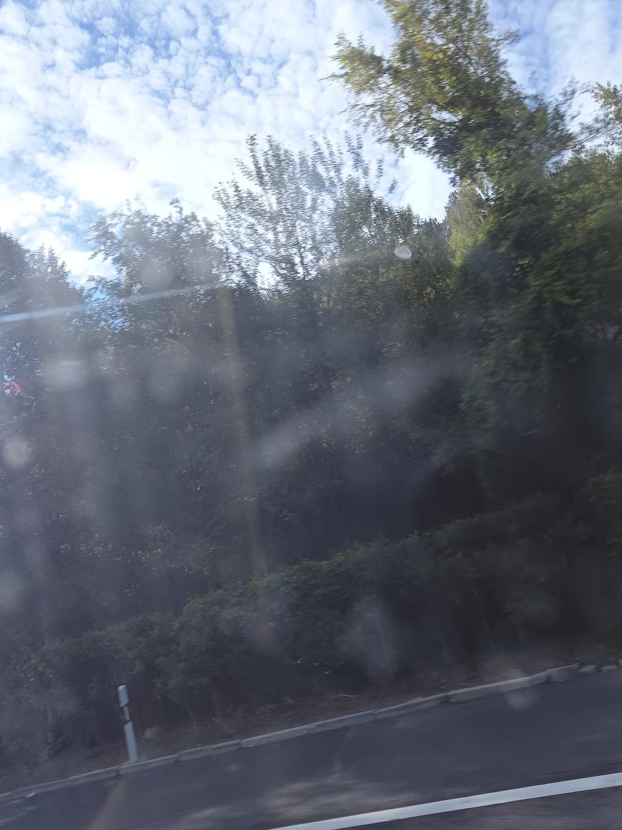 路上风景美，树木遮天蔽日。