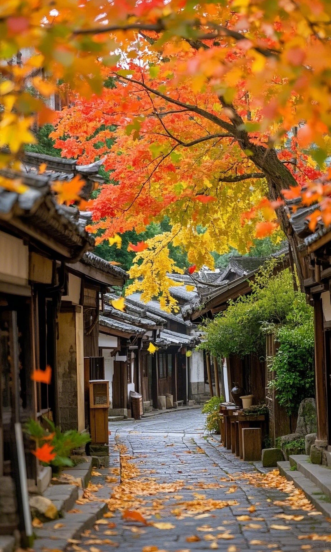 深秋将调色盘倾落古巷，枫叶晕染成红橙的焰火，在青石板路上铺就满径金辉。

木扉灰