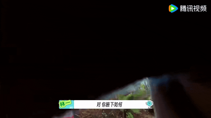 林一腋下视角地球超新鲜 节目上新限定腋下机位由林一亲自打造，独特拍摄角度带来不一