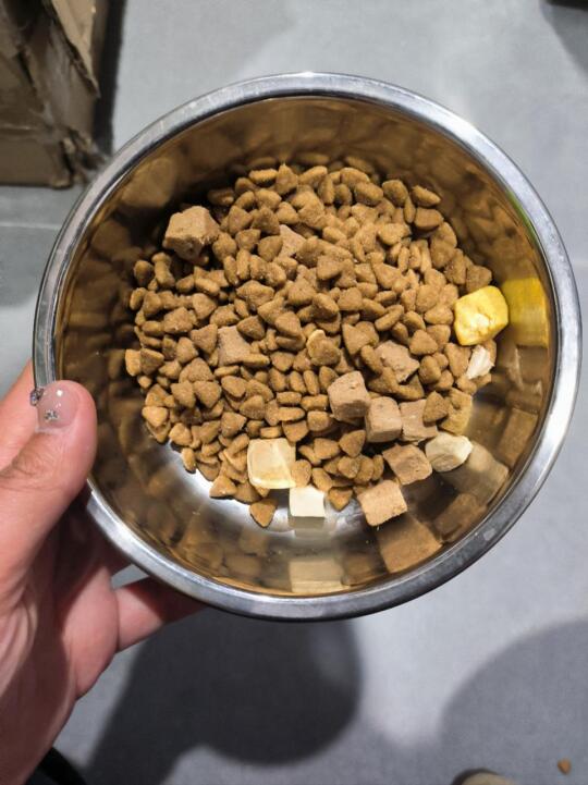 第一次吃带益生元的粮