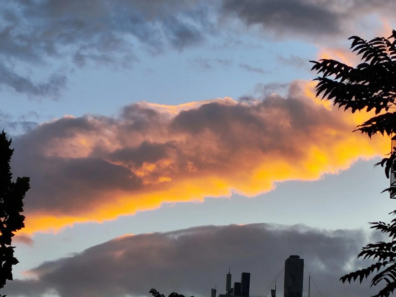 霞光洒满天际线
橙黄蓝渐变如画卷
绿树摇曳风轻舞
高楼隐现云端间