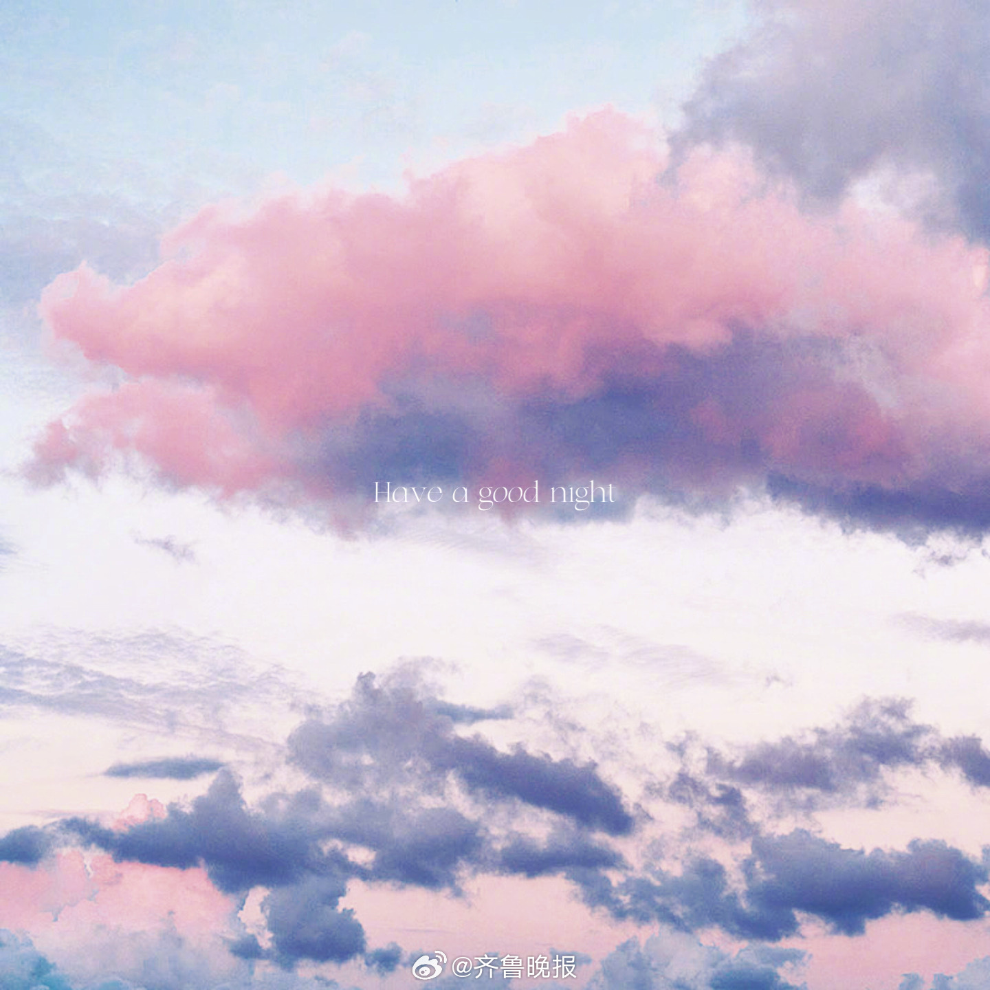 等风来等花开#晚安#