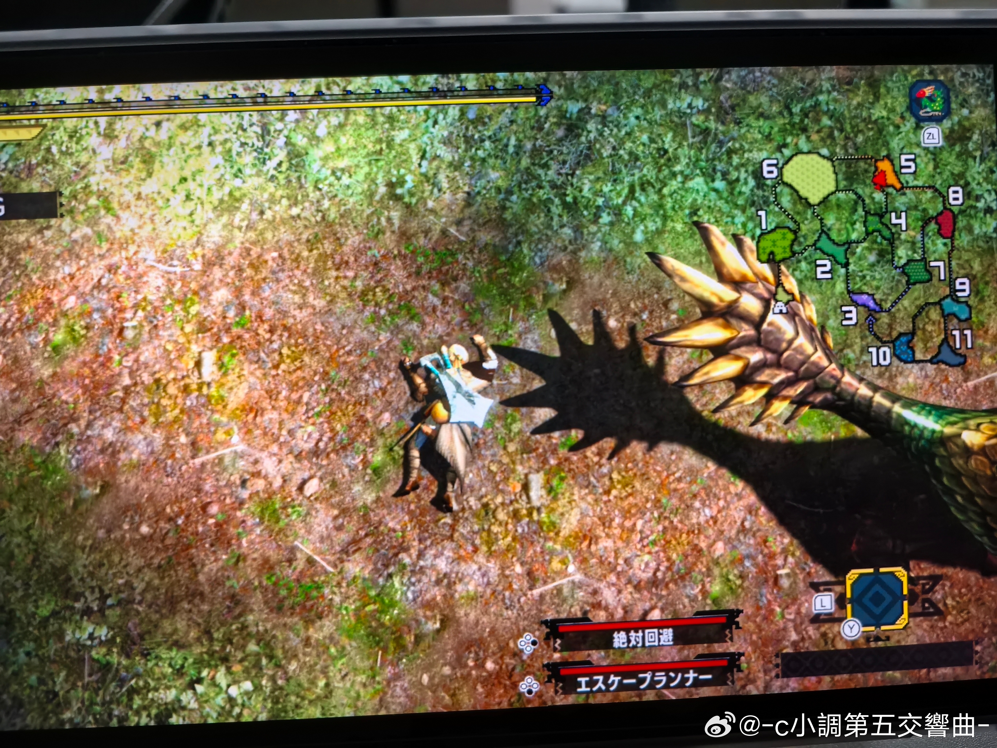 卧槽第一个跳狗龙就打不过，我现在真的菜到一定境界了