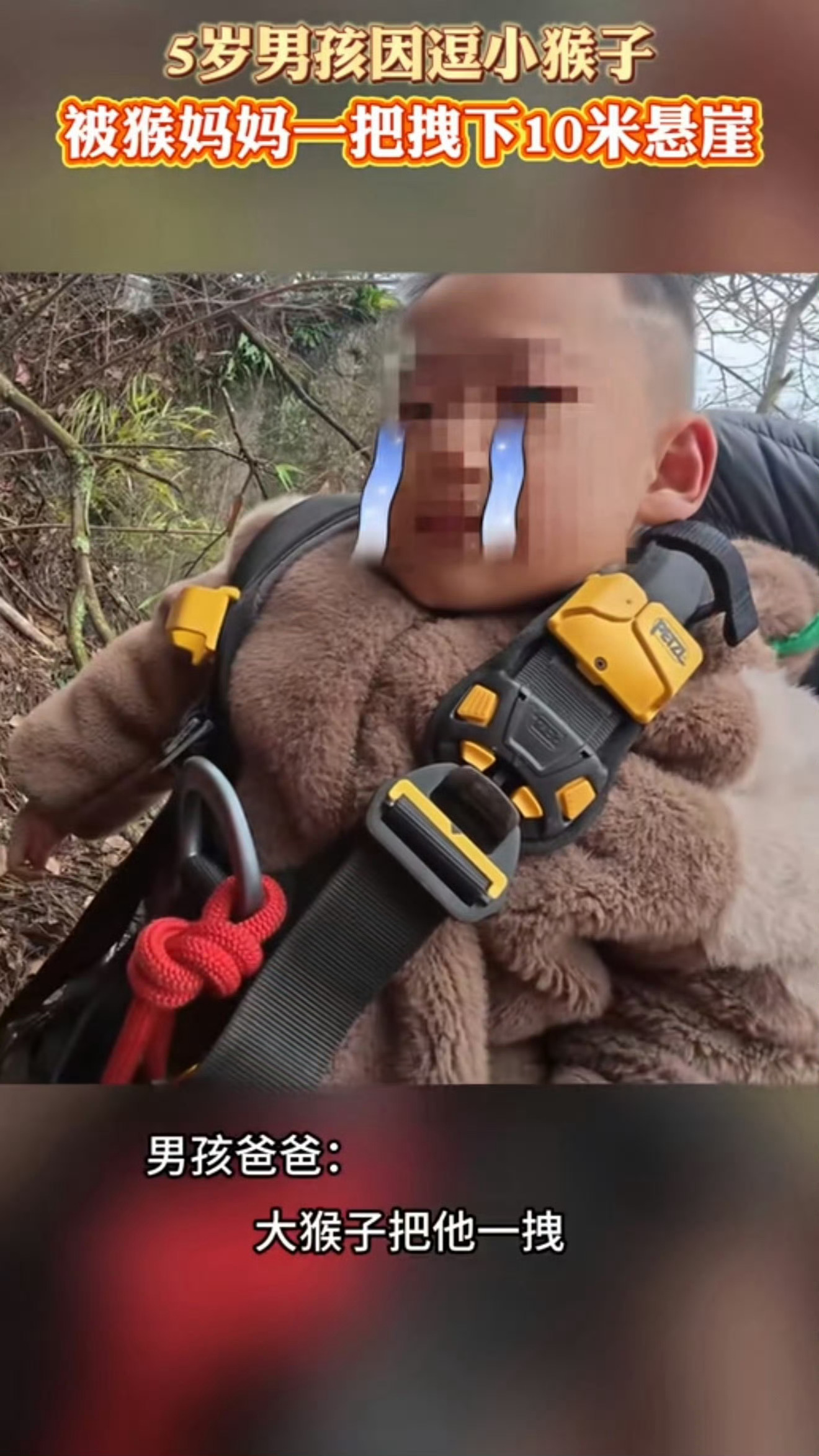 给孩子的人生上了生动的一课。5岁男孩逗小猴子被母猴拽下悬崖