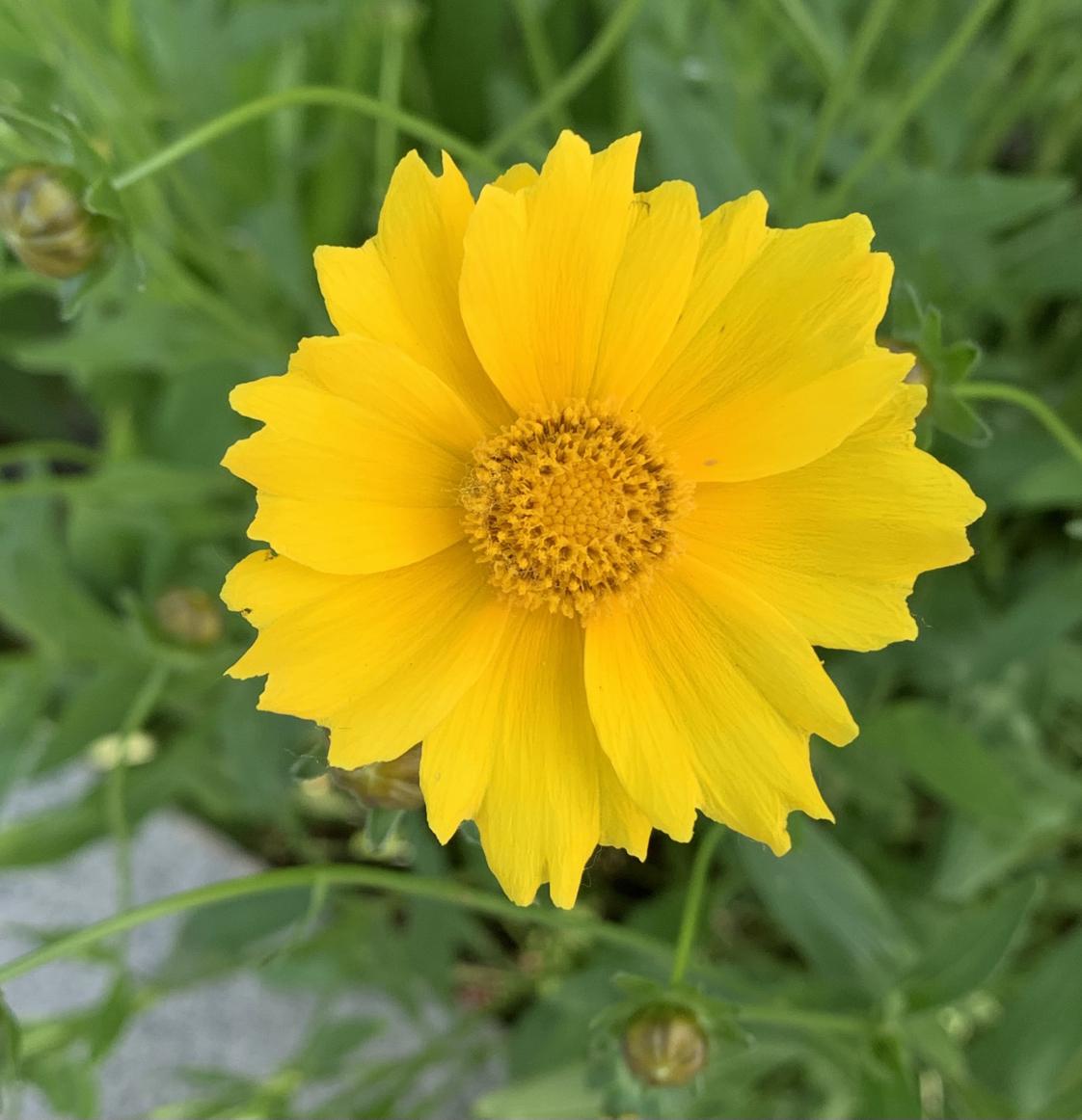 我的今日状态：😁轻松愉快
我这里的天气：☀️晴天