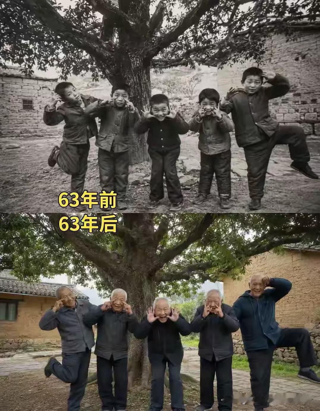 树记录人生记忆城市 *徐州