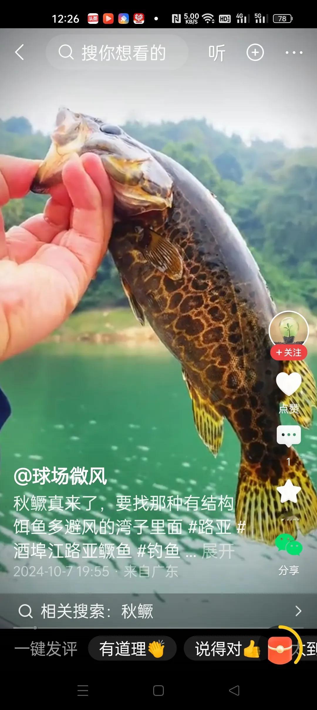 鳜鱼，七十年代我家乡的小河里经常可以捉到这种鱼，杀鱼时，我妈把鳜鱼胆包在陈皮里，