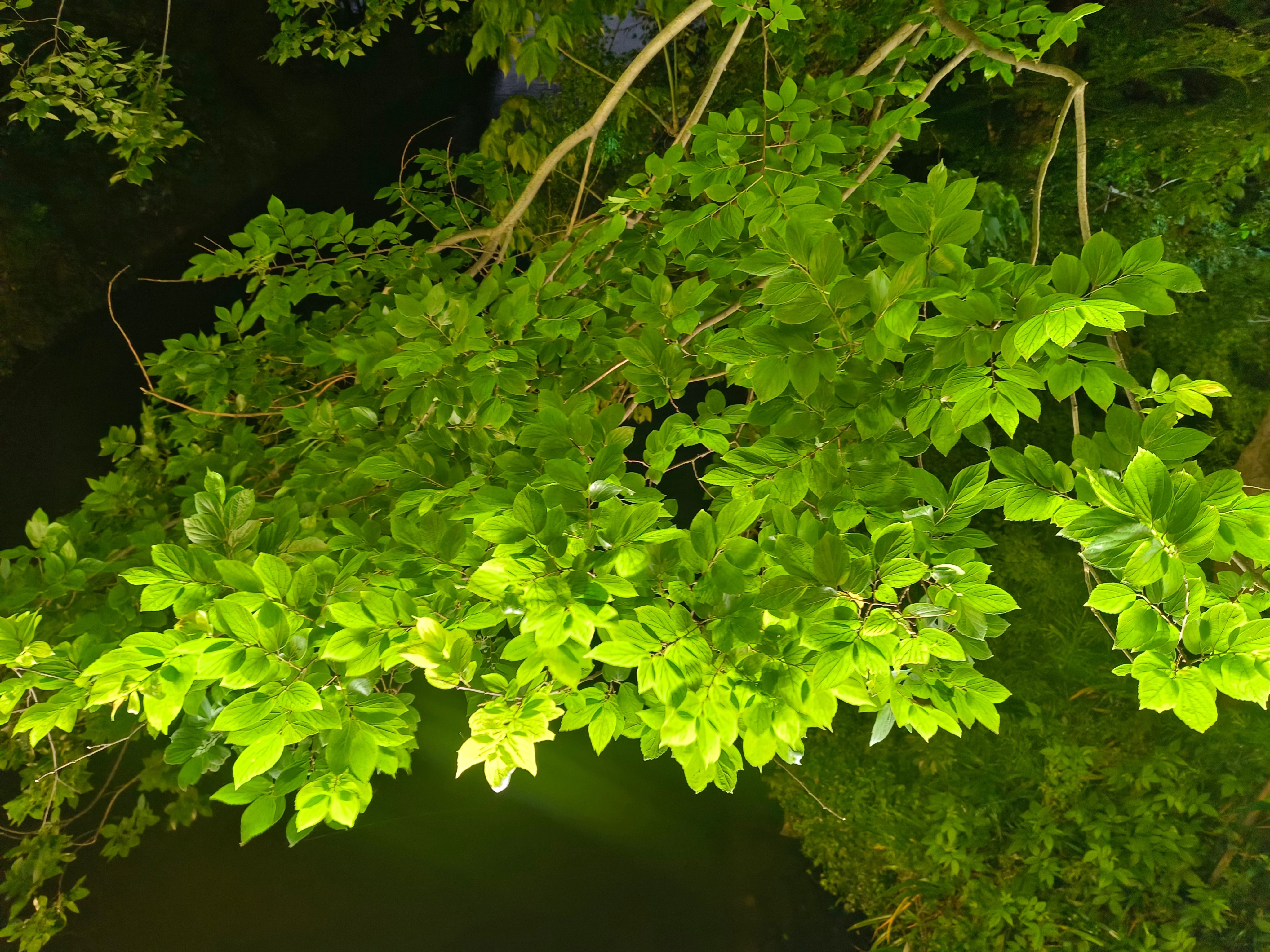 这么好的天，一定要出来走走，不然亏得慌。不要辜负春光，抓住春天的尾巴。 