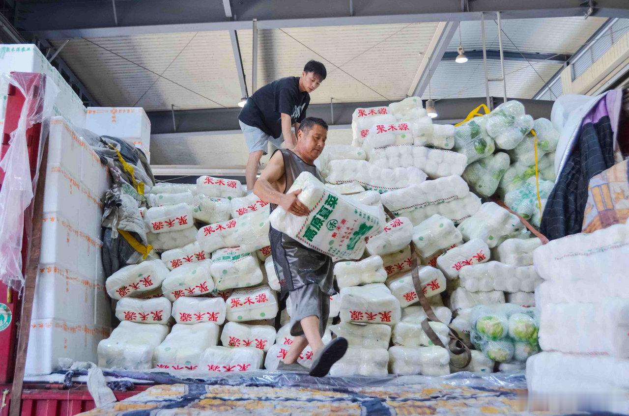 高原夏菜土法保鲜跨越两千公里供应宁波 台风过后宁波持续高温，本地蔬菜减产，来自兰