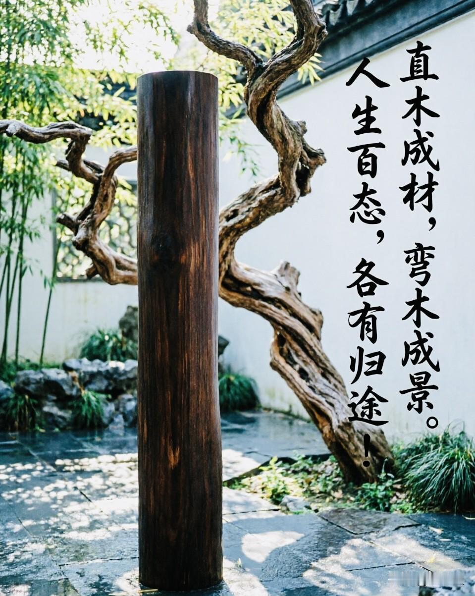【成才与成材】
@高桢迪 
直木成材，弯木成景；
人生百态，各有归途。
祝天下学