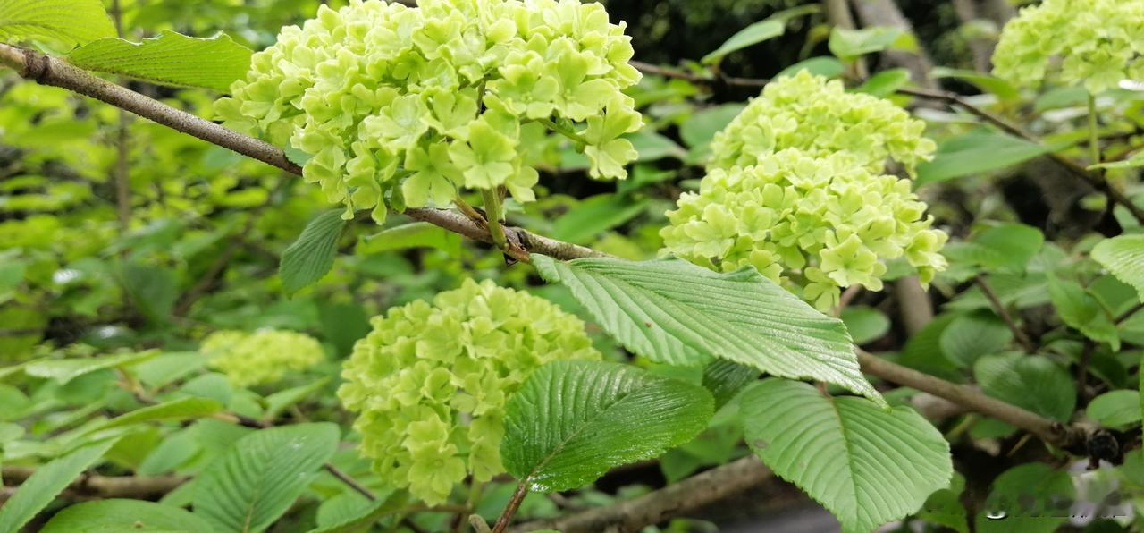 老人跟儿女住在一起，由于观念不同，就是人们常说的有代沟，本来就容易产生矛盾。如果