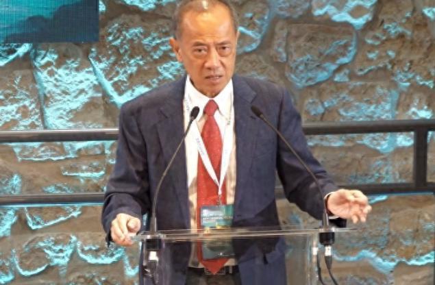 稀土这两个字
这两年被说烂了，但真正把话说透的人不多
新加坡前外长杨荣文一句话点