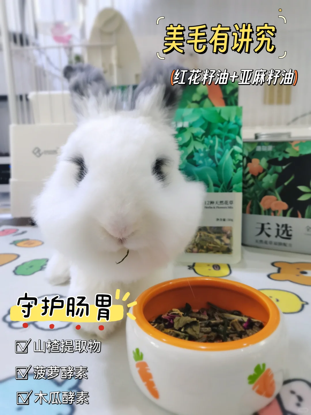 一口花草, 一口粮｜全新体验国产兔粮