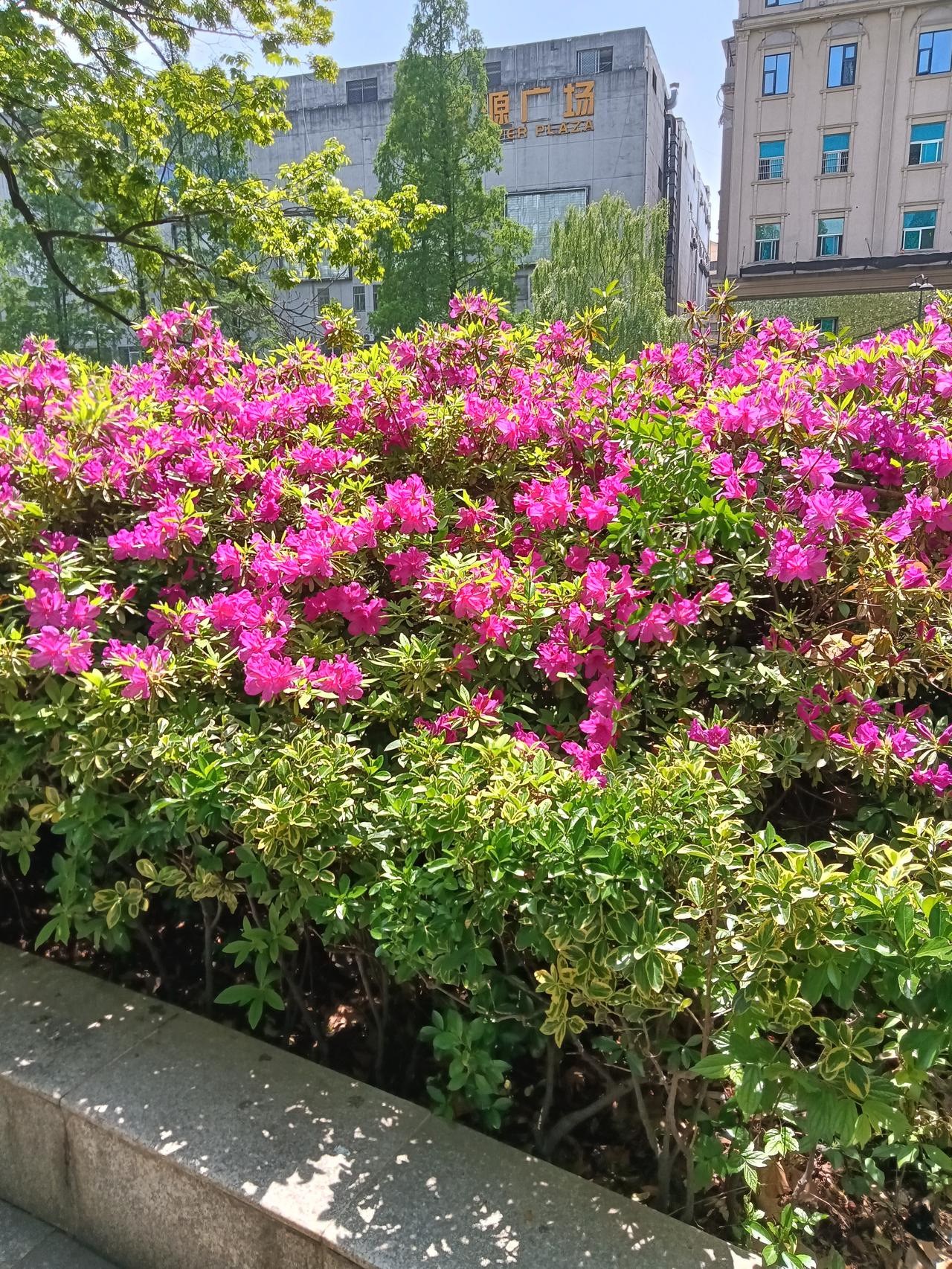人生的关键节点，往往需要有人指引前行的方向。特别是在遭遇挫折、犯下错误的时候，若