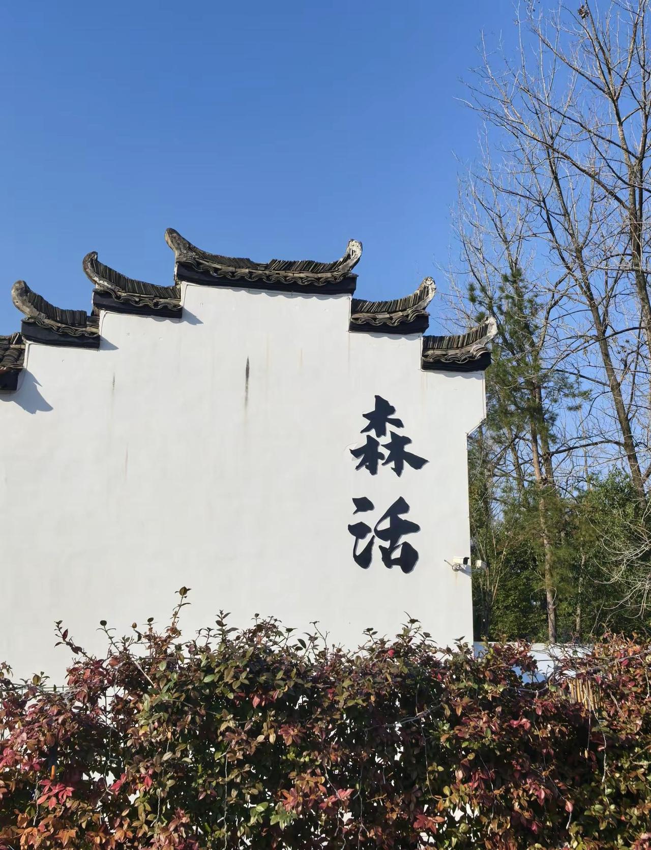 户外休闲 露营⛺ 慢生活 露营 网红拍照景点