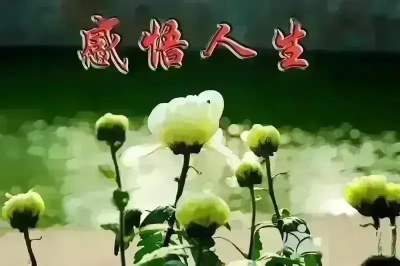 心里有盏灯，就不怕路远。