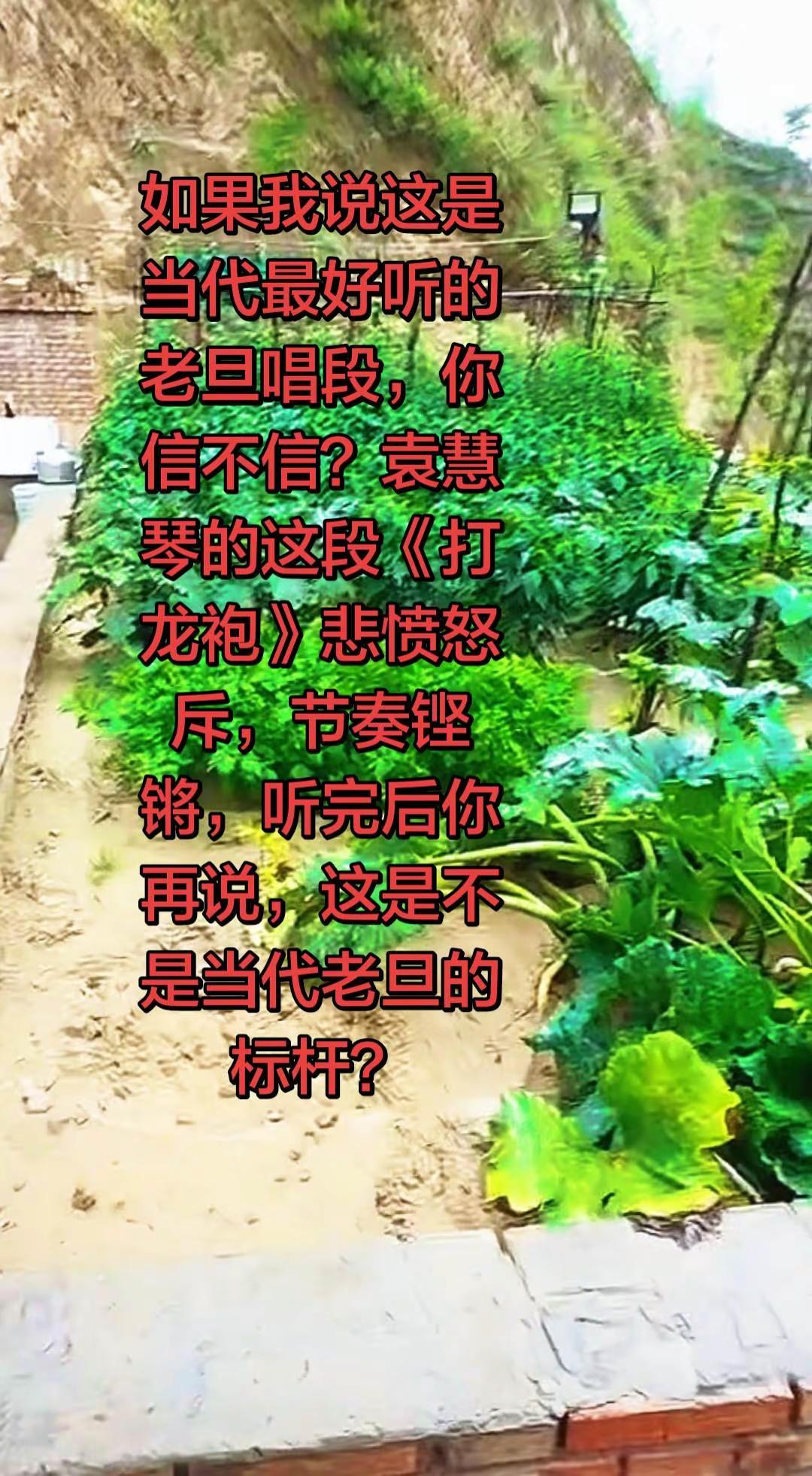 说实话这段《打龙袍》算不算当代老旦的标杆？