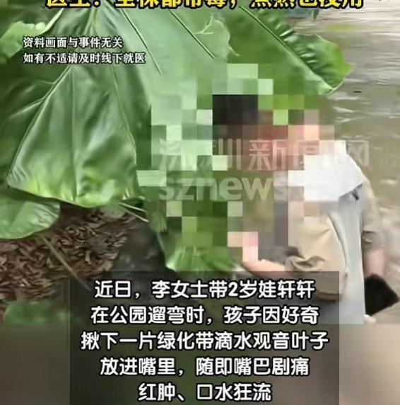 "悲剧还是发生了！"5月30日报道，广东深圳，一2岁宝宝在公园玩耍时，妈妈一个没