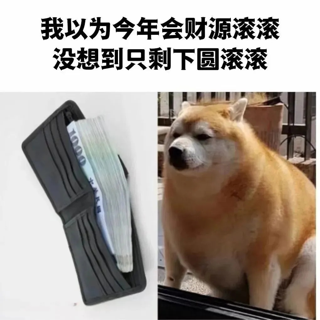 被生活磨平了棱角，所以圆滚滚了起来。 2024年度热梗大赛  / 
