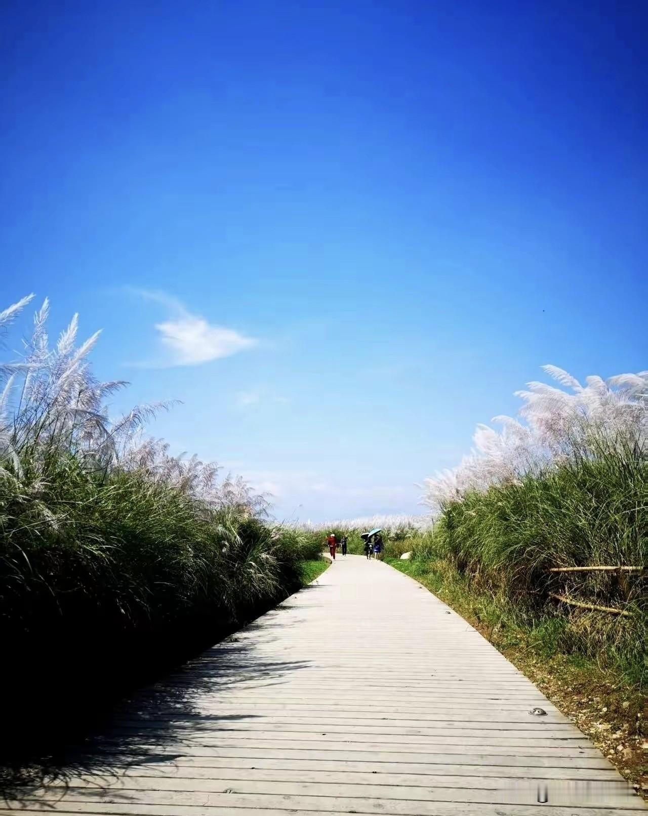 我发现一个很奇怪的现象，那些经常抱怨公司在降薪的人，总是喜欢鼓动别人去找公司领导