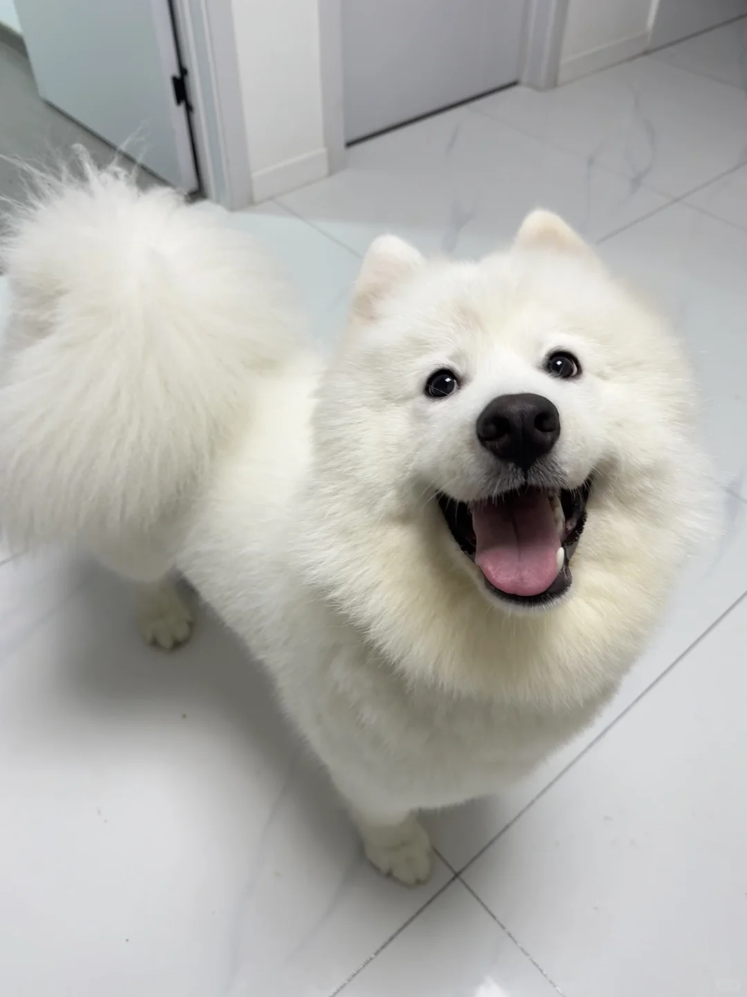 我真的受不了了！！！