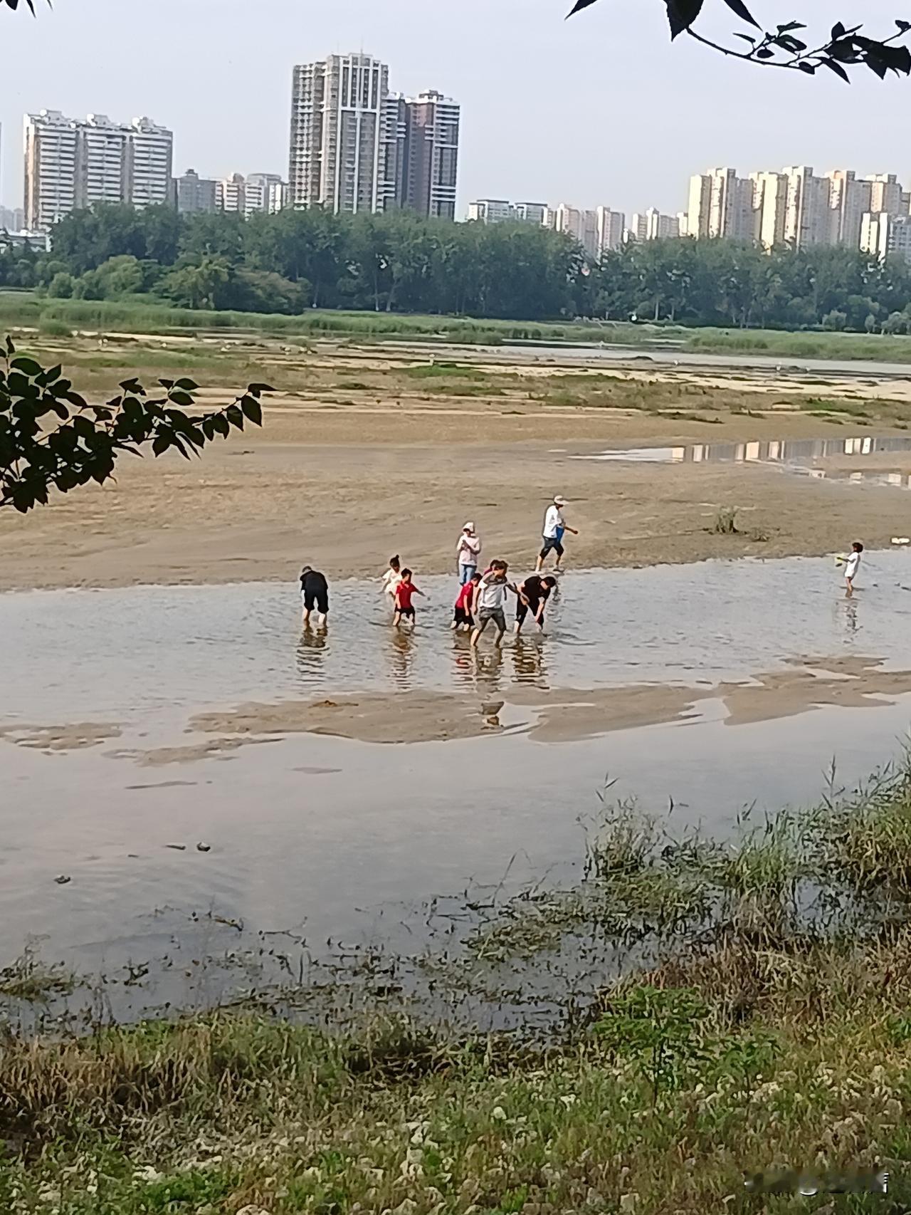 滩头小景
 记录岁月里的自己儿童水边玩耍  水边童趣 滩头风景 
今天“六一儿童