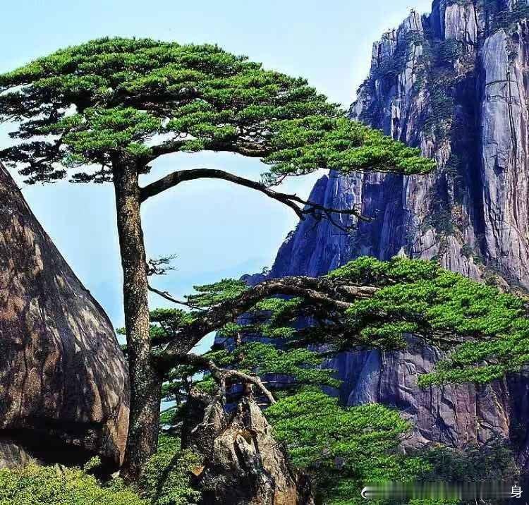 后来才发现，原来我们已经和很多人,见完最后一面了，少时春风得意马蹄疾，不信人间，