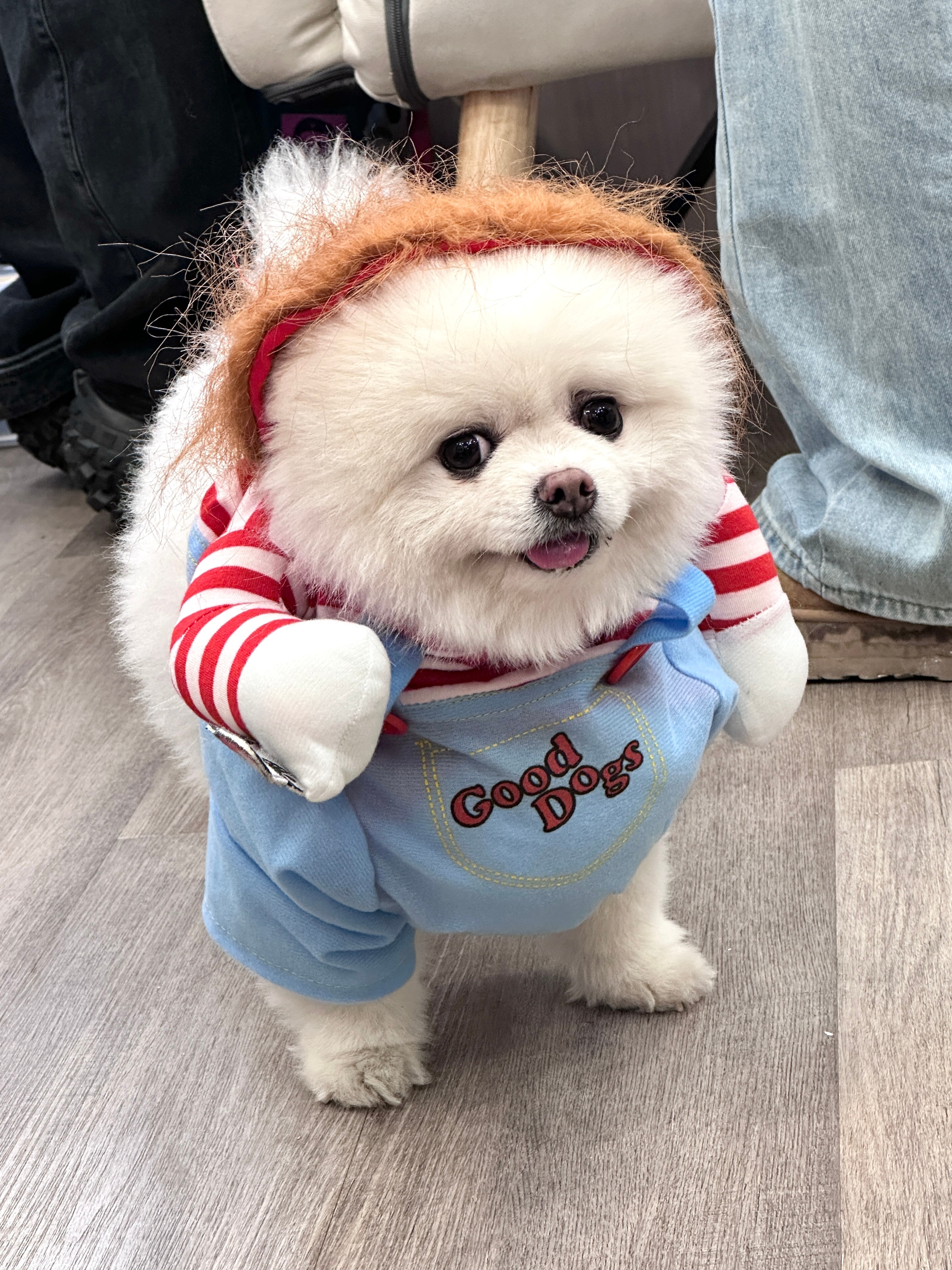 老巧看见小人就这样沙沙沙 