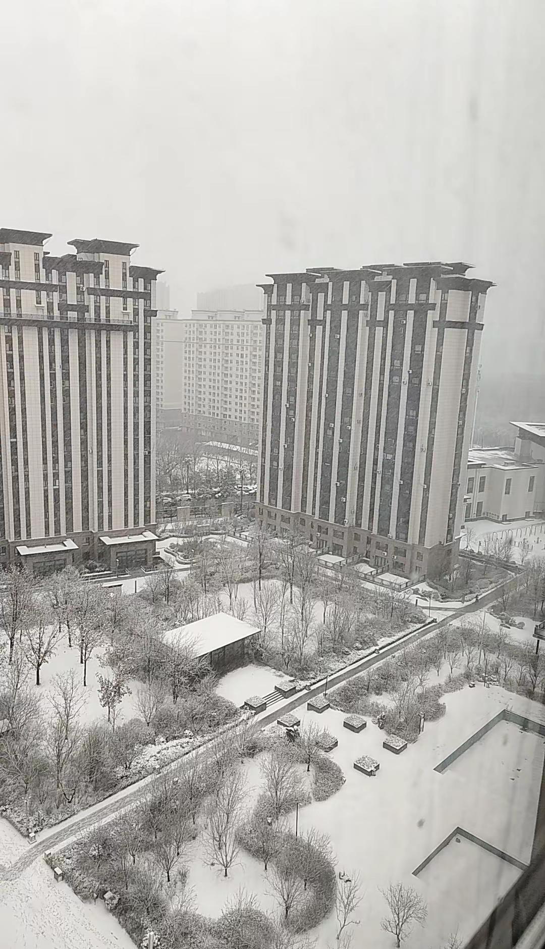 2026年4月3日 我的城市哈尔滨下了好大的雪 瑞雪兆丰年