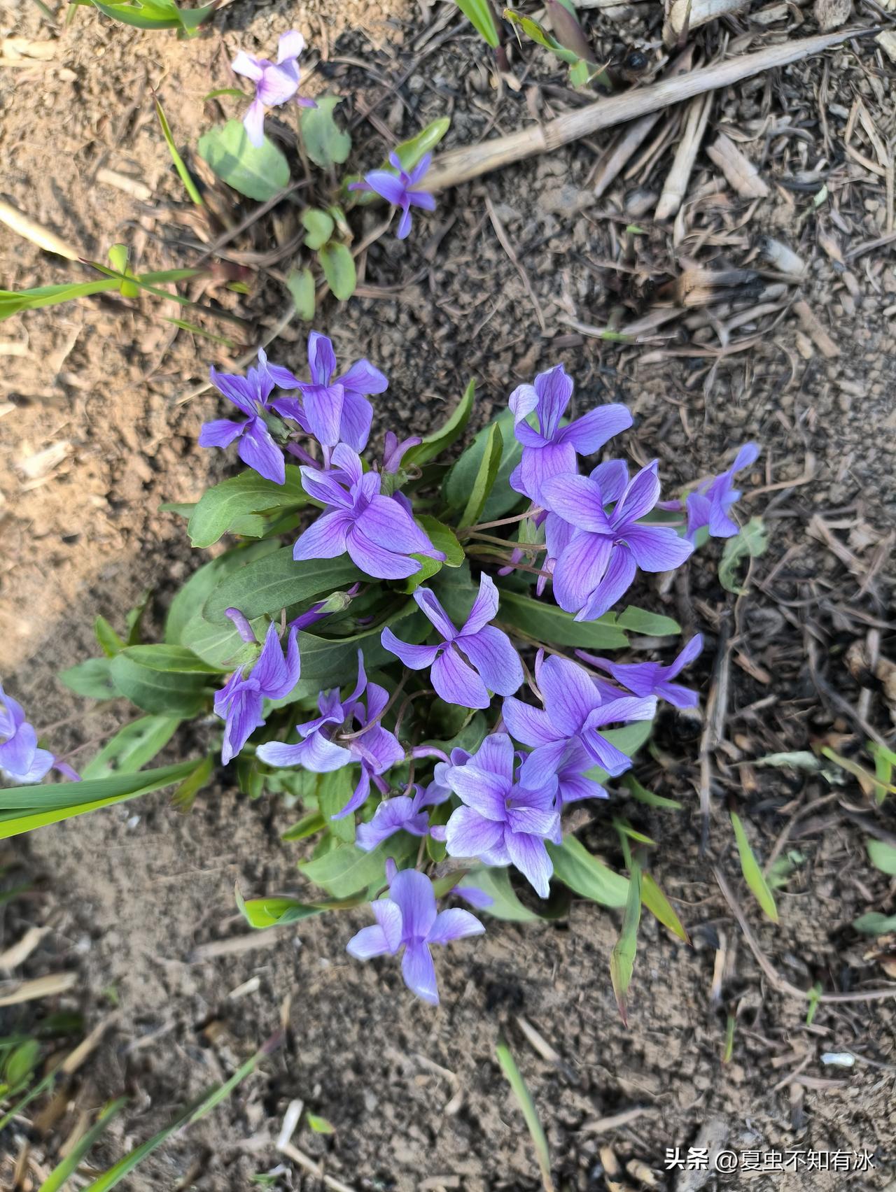 怕死，实乃人之致命弱点！人越是上了年纪，便越发恐惧死亡。
有不少人对此不服气，觉