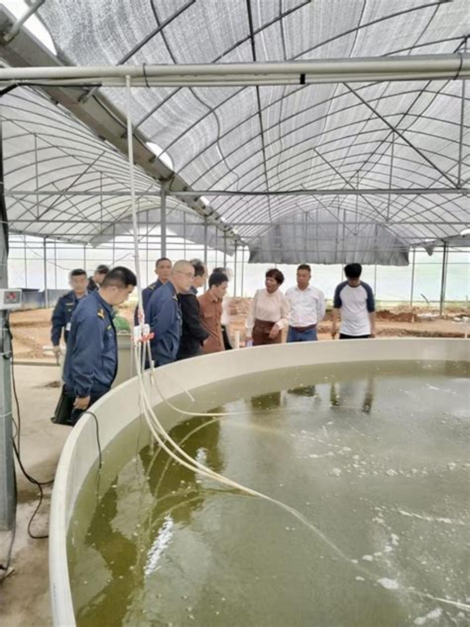 看到福建曝光的抗生素牛蛙，是不是感觉自己很庆幸？幸好自己不在福建，幸运地躲过了“