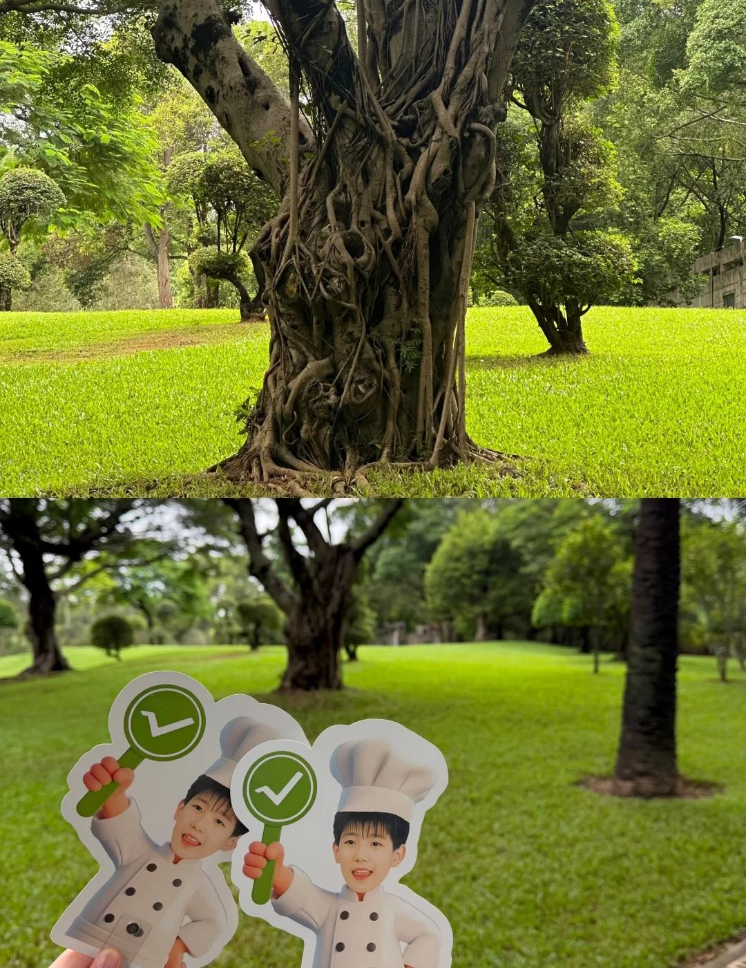 ✅已get到同款
我来到你走过的路
看过你看过的风景
拍下你拍过的照片
这地方真