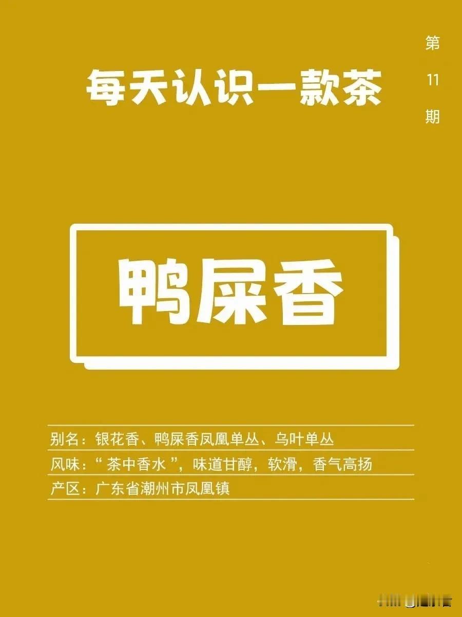 鸭屎香|每天认识一款茶11

鸭屎香来自广东凤凰山，属于凤凰单丛，所以也是乌龙茶