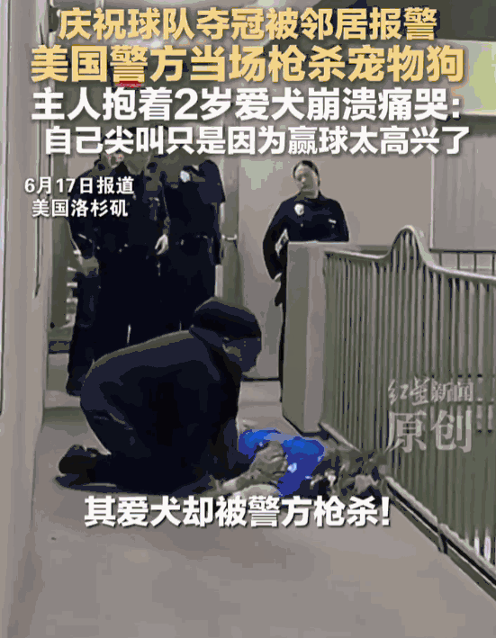 “乐极生悲！”美国洛杉矶，一场等了足足53年的冠军狂欢，最终却让一个女孩的世界彻
