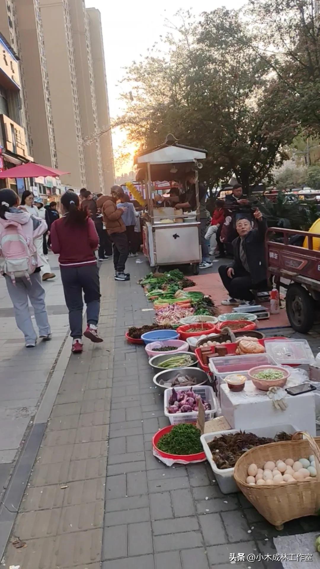宜昌城管 摊贩百态 城市管理有温度，摊贩有序经营获市民点赞摊贩生存实录 摊贩故事