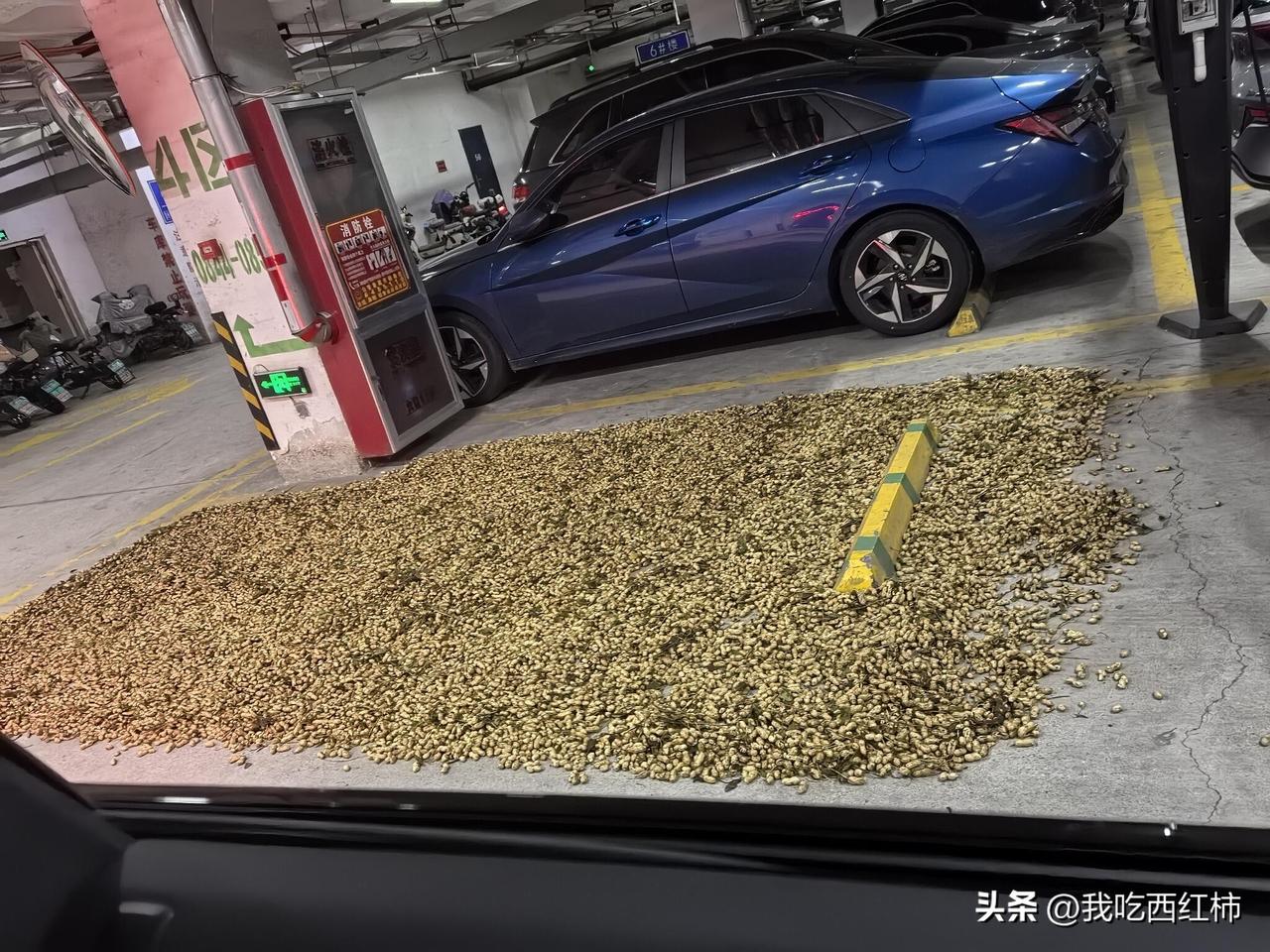 车位恶意被占 该如何解决这些花生🥜
下班回家发现车位竟被花生恶意占领，我已通知