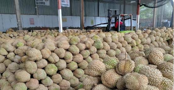 后果惨重，菲律宾转头就向中国甩锅，还指责我们不守约定、要求赔偿。但回头看，马科斯