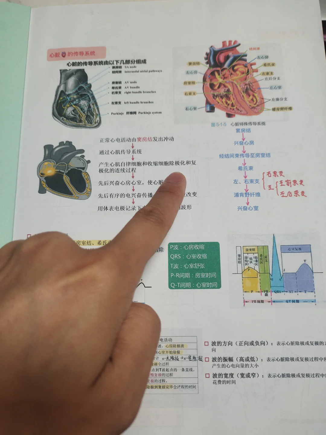 规培值班心电图实战学习