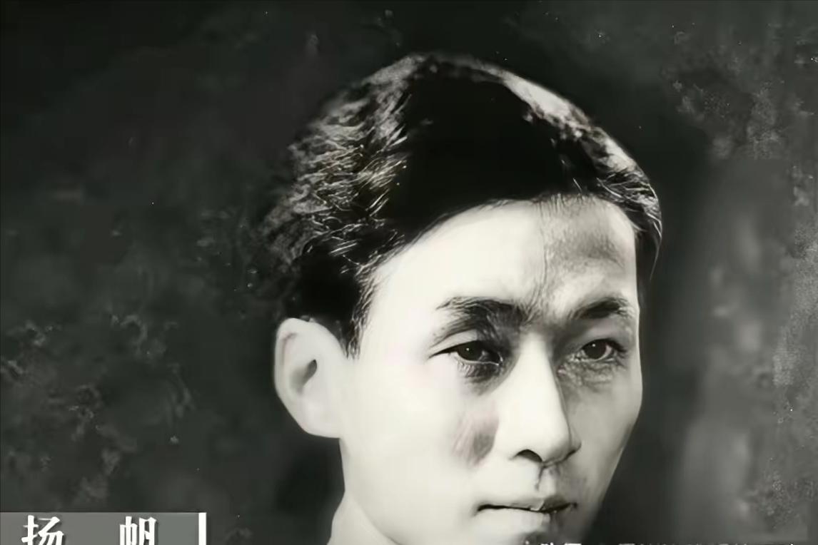 1978年，前上海公安局长扬帆失踪23年后在劳改农场被找到，他指着妻子和长子对管
