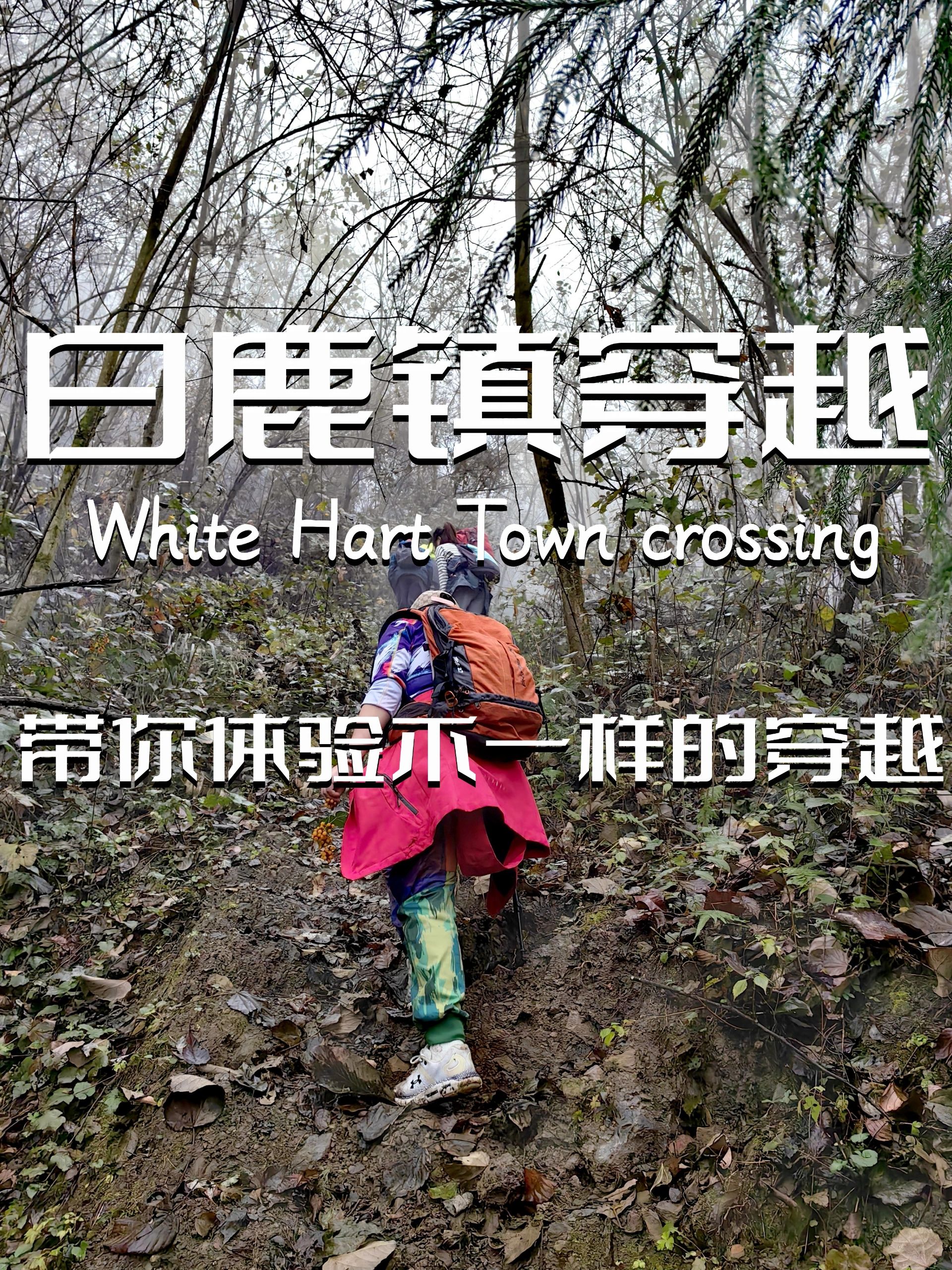 白鹿镇穿越｜周末带你感受不一样的徒步