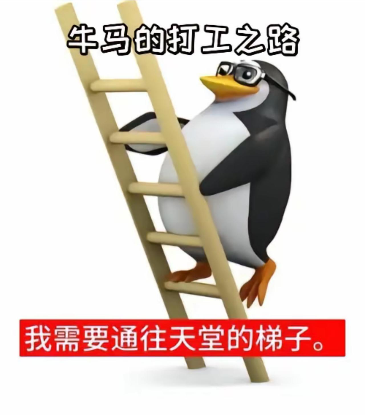 老板凭实力终于又上热搜了。
他做梦都没想到，
去南极旅游没能引起大家的关注，
给