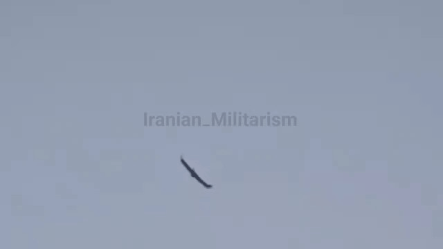 🇮🇷伊朗天空中一架伪装成鸟类的无人机（采用迷彩伪装）。