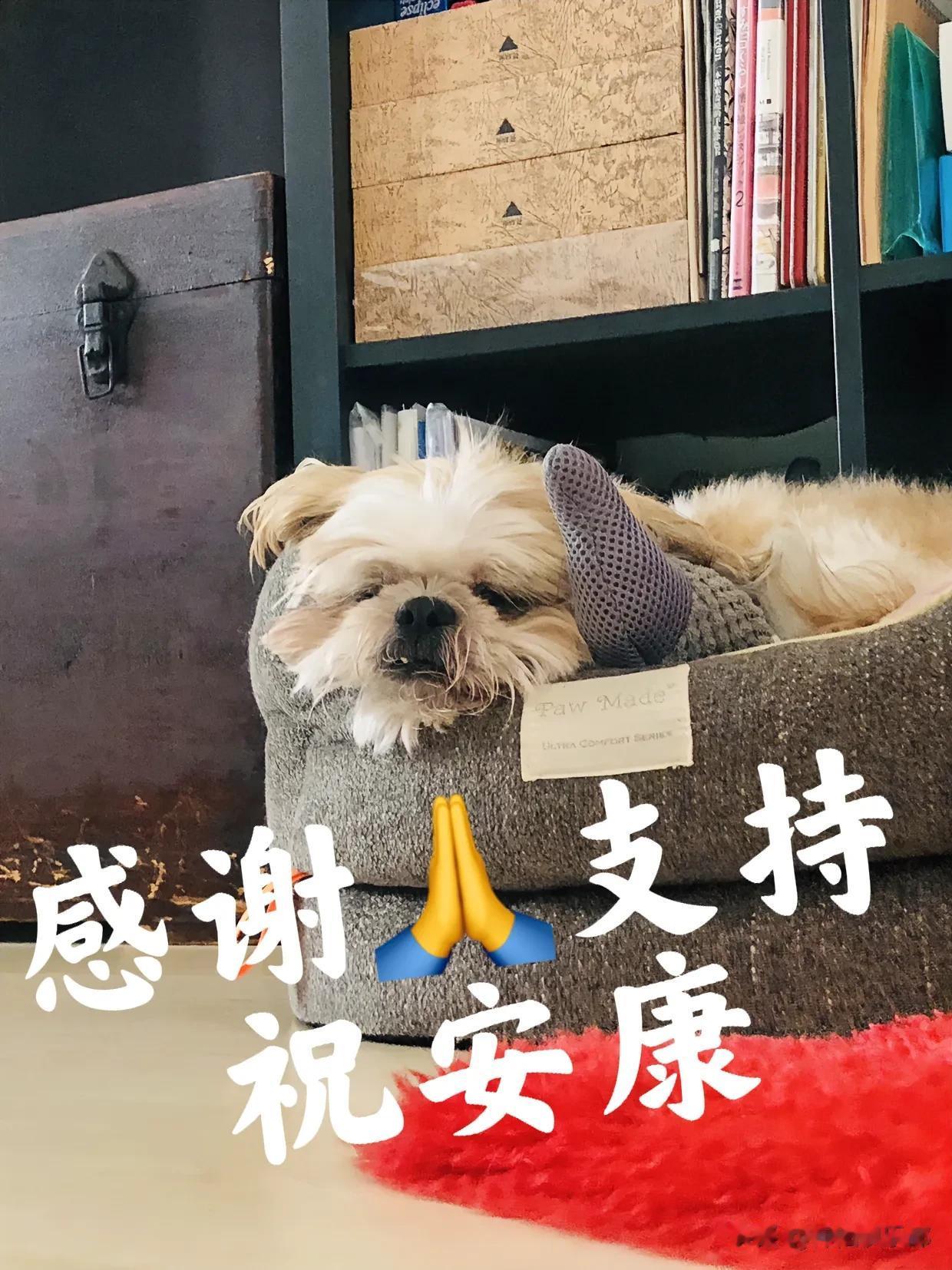 各路神仙俱乐部的友友们
感谢大家一直以来的支持
🙏
身体抱恙 暂停每日更新
小